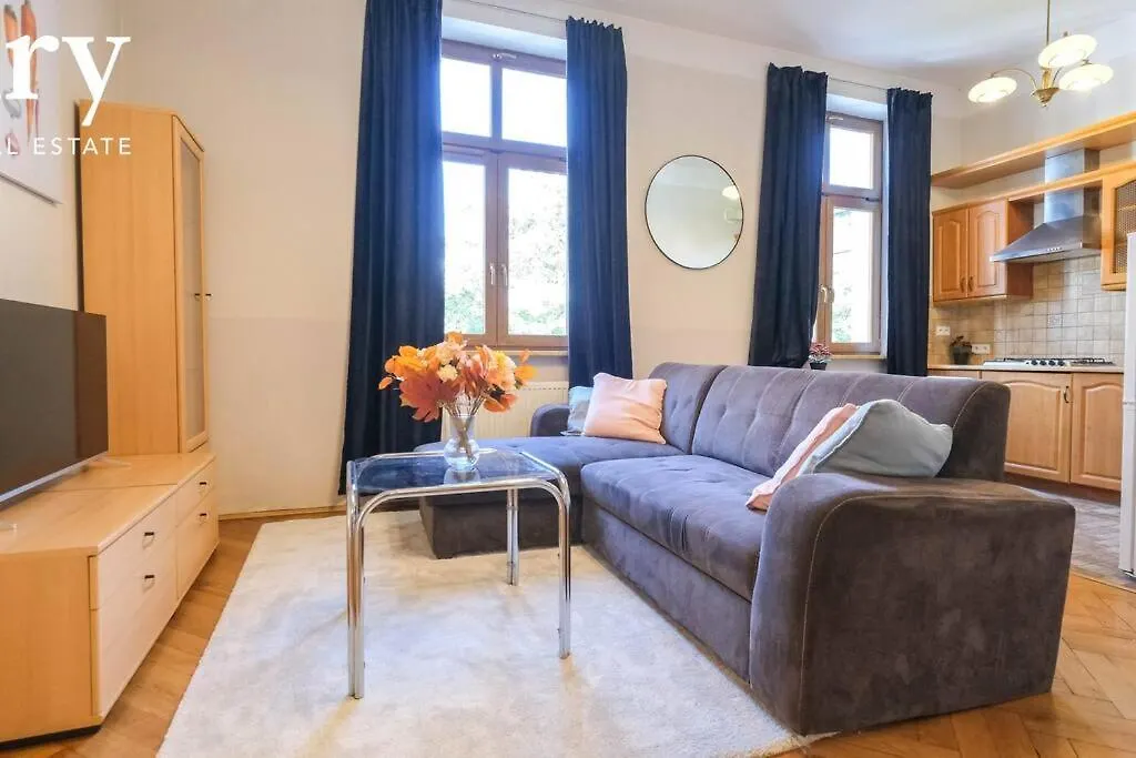 Big Cozy Apartment Free 1 Parking 克拉科夫