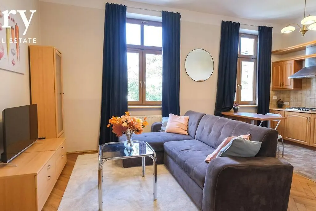 Big Cozy Apartment Free 1 Parking 克拉科夫 波兰