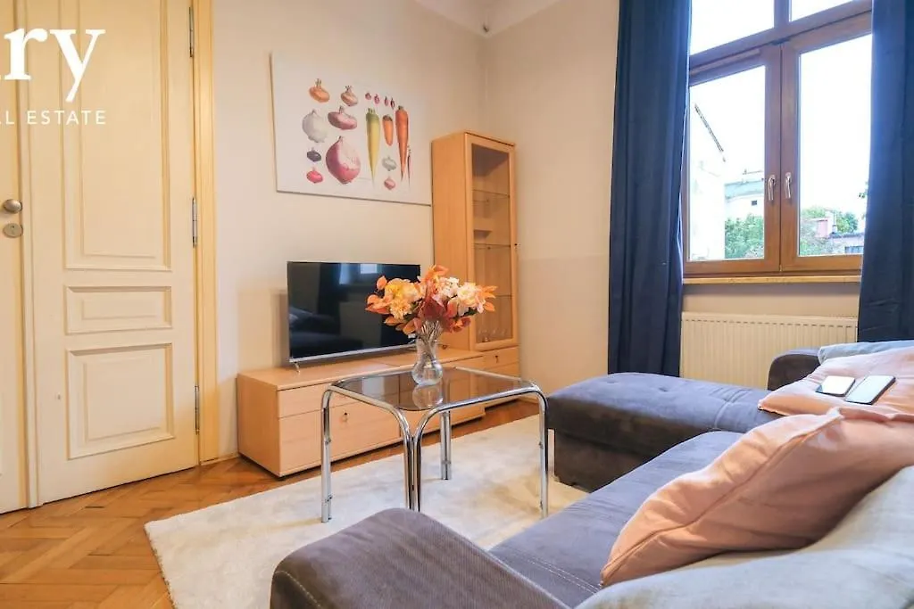 Big Cozy Apartment Free 1 Parking 克拉科夫