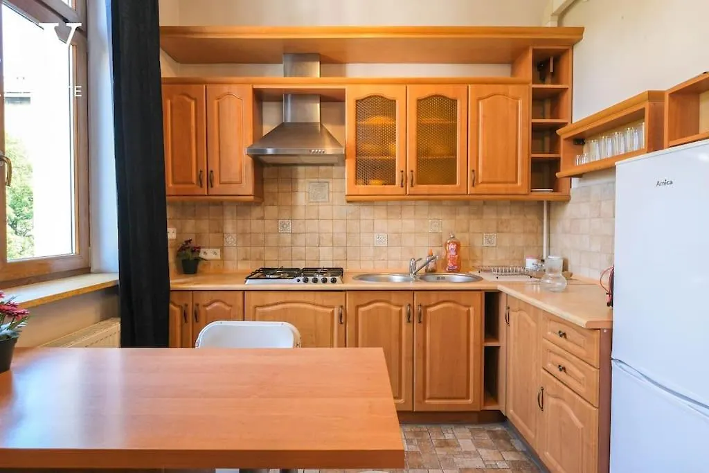Big Cozy Apartment Free 1 Parking 克拉科夫