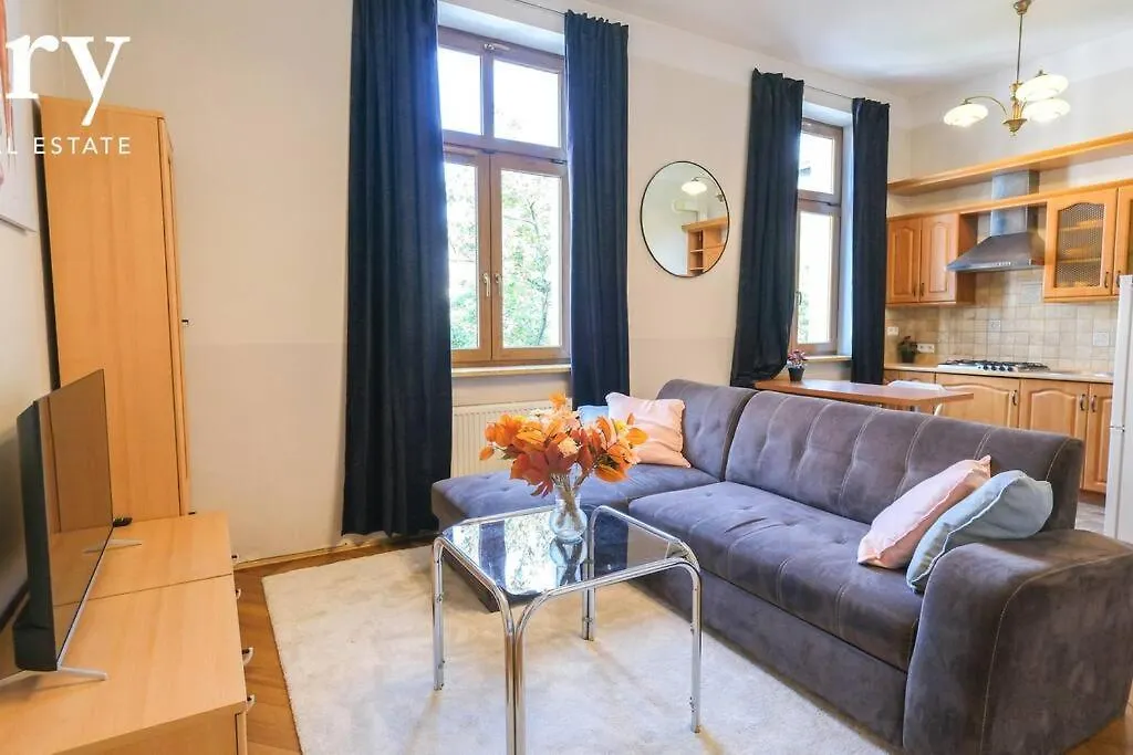 Big Cozy Apartment Free 1 Parking 克拉科夫